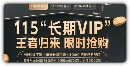 国产vip,引领影视潮流的璀璨明珠